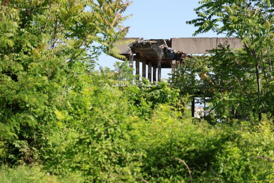 e33354a2340.jpg__623x416_q85_crop_subsampling-2_upscale.jpg
