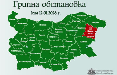 Варна е първата област, която обявява грипна епидемия