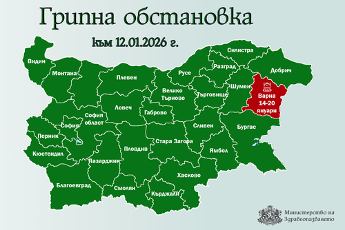 Варна е първата област, която обявява грипна епидемия