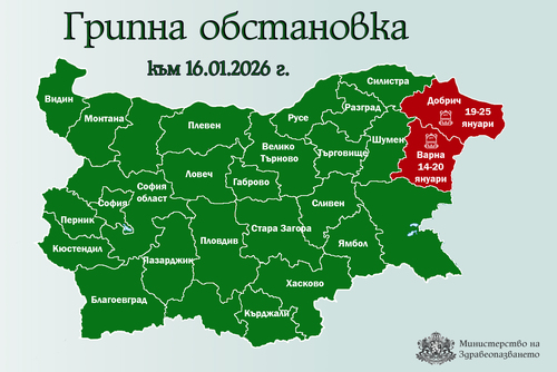 Мерки срещу грипа и в Добрич