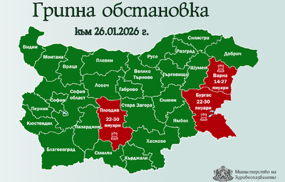 Пловдив обявява грипна епидемия, Добрич я отменя