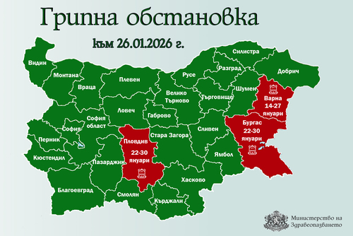 Пловдив обявява грипна епидемия, Добрич я отменя