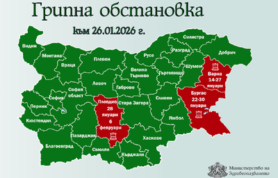 Пловдив обявява грипна епидемия, Добрич я отменя