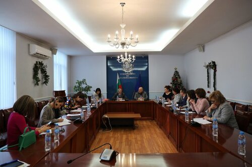 Изпълнителният директор на „Здравна инвестиционна компания за детска болница“ ЕАД Николай Борисов представи пред Обществения съвет план-график на дейностите