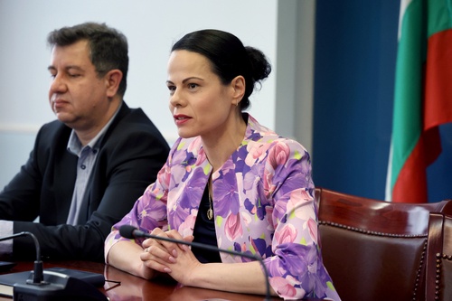 Министър Ивкова на среща с РЗИ: Единствената опция за извънредна обработка срещу комари е чрез здравните инспекции