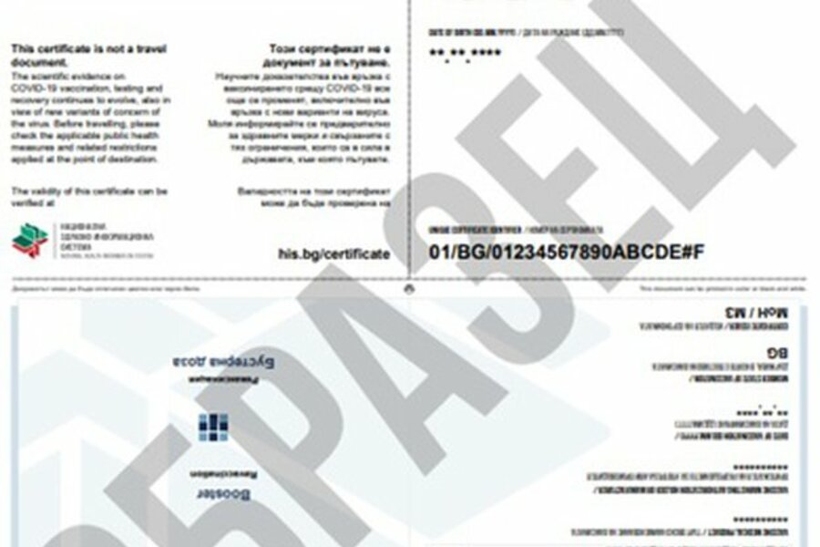 sertifikat-buster-edna_doza.jpg__623x416_q85_crop_subsampling-2_upscale.jpg