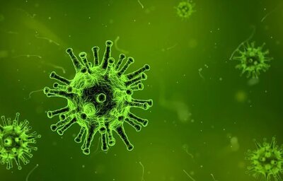 2 488 са новите случаи на COVID-19, потвърдени у нас през изминалото денонощие