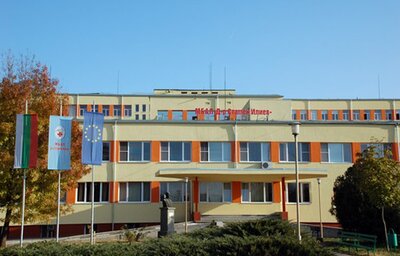Отбелязваме Световния ден за палиативна грижа