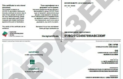 Цифровите COVID сертификати на ЕС: Какво трябва да знаем?