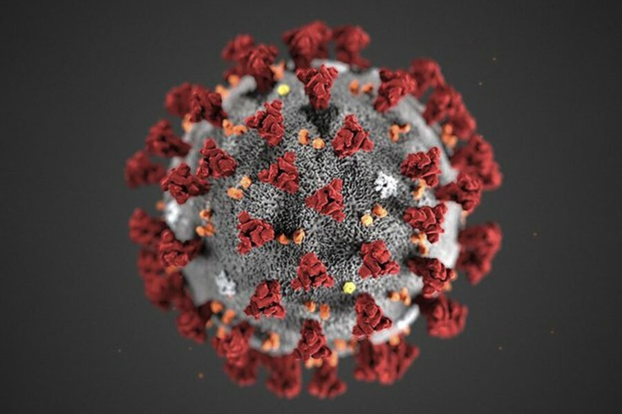 koronavirus-pod-mikroskop.jpg__623x416_q85_crop_subsampling-2_upscale.jpg